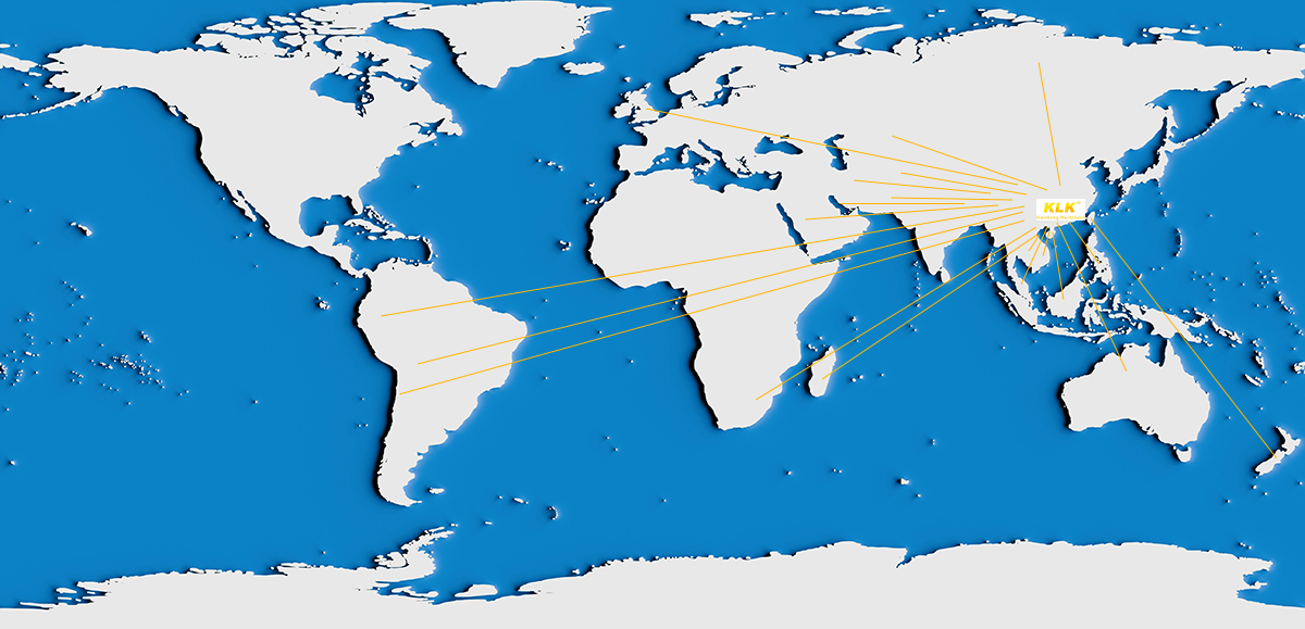 Ruisheng Global Sales Network